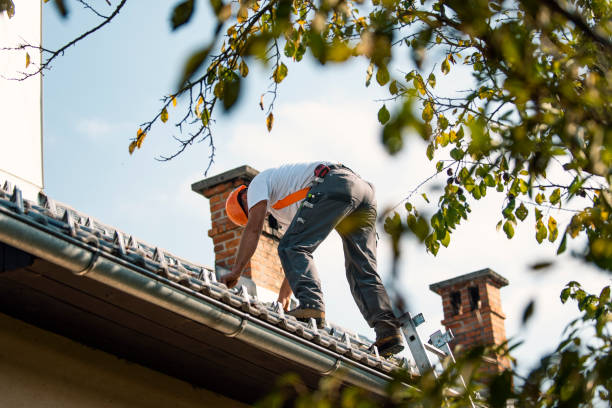 Best Residential Roofing Contractor  in Hamlet, IN