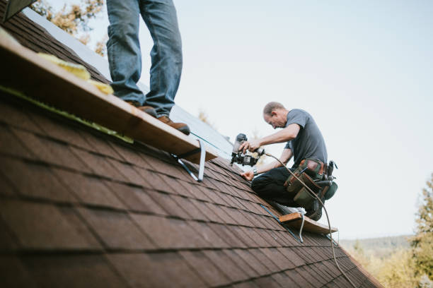 Best Commercial Roofing Services  in Hamlet, IN